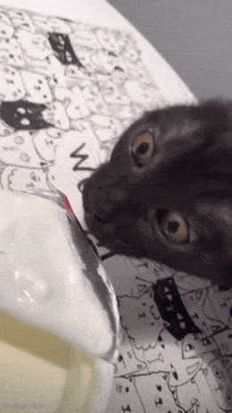  , , , 