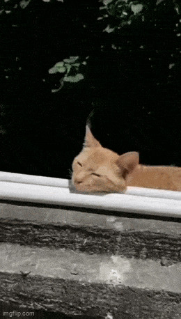   , , , 