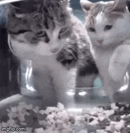   , , , 