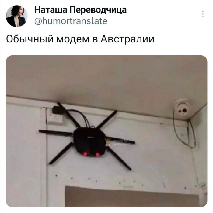        IT , , , , , Telegram ()