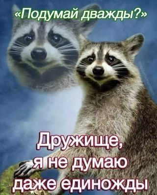 Задумайтесь | Пикабу