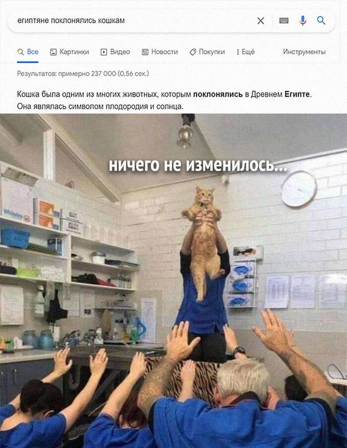     ,   , , , , 