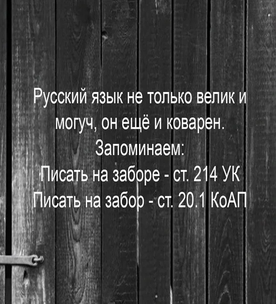 О русском языке... - Юмор, Картинка с текстом, Русский язык, Ударение, Писать