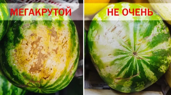 Watermelon season. Memo - Advice, Life hack, Watermelon, My