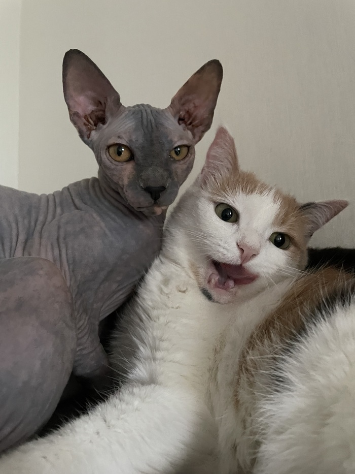      ,  ,  ,  , 