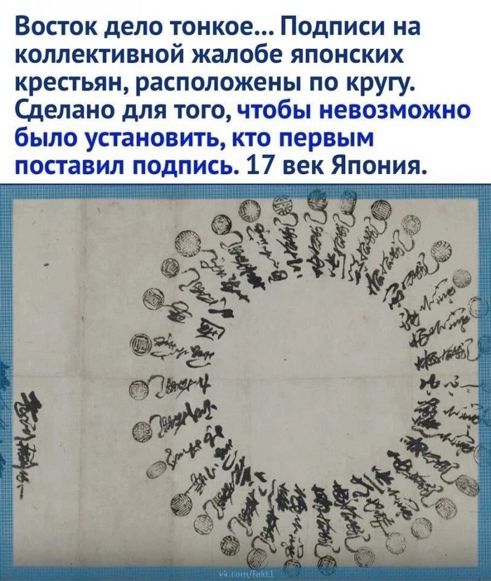 1720359592269339760.jpg