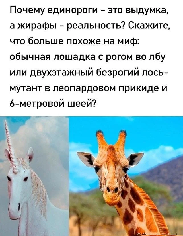 Explain - Humor, Images, Memes, Telegram (link), Picture with text, Giraffe, Unicorn