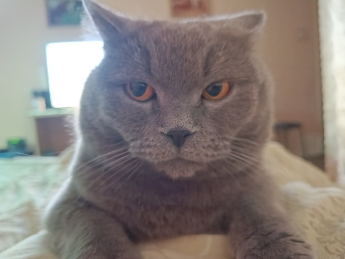 ��������� �������� �����