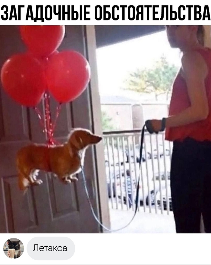 Будешь Карлсоном...