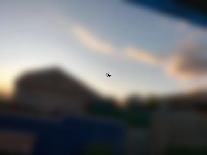 Yyt - My, Spider, Mobile photography, Blur, Nature