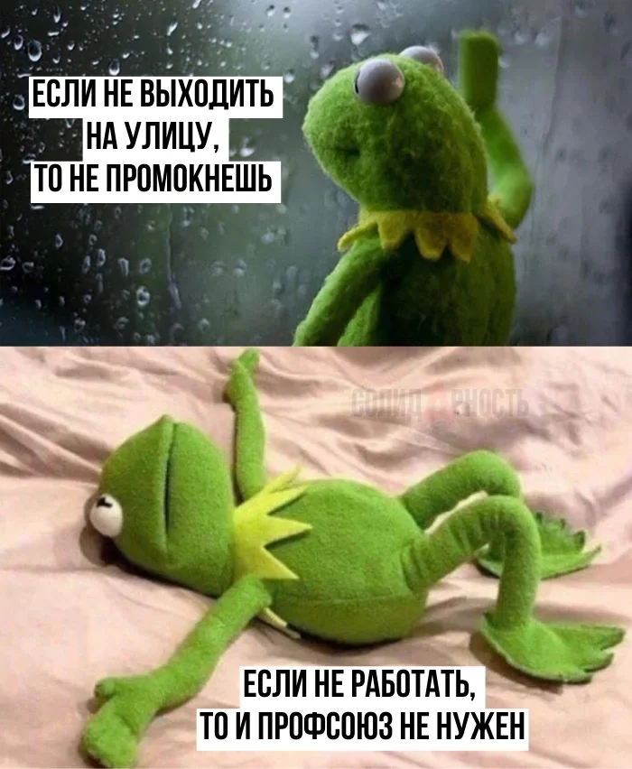 If you don't go outside, you won't get wet. - Union, Work, Fight, Team, VKontakte (link), Picture with text, Kermit the Frog