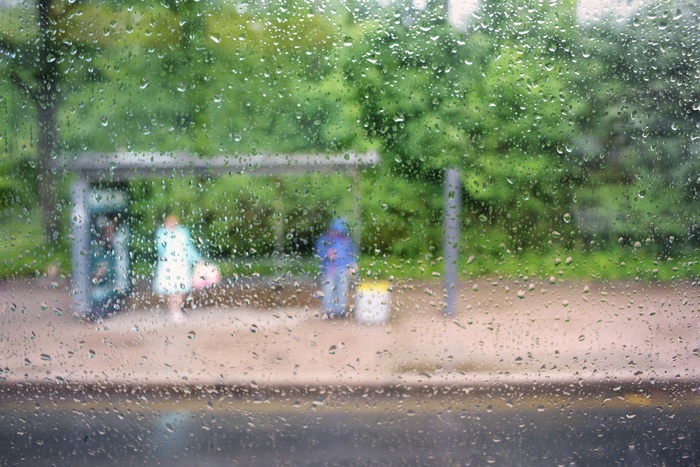 Лето ленинградское, обыкновенное