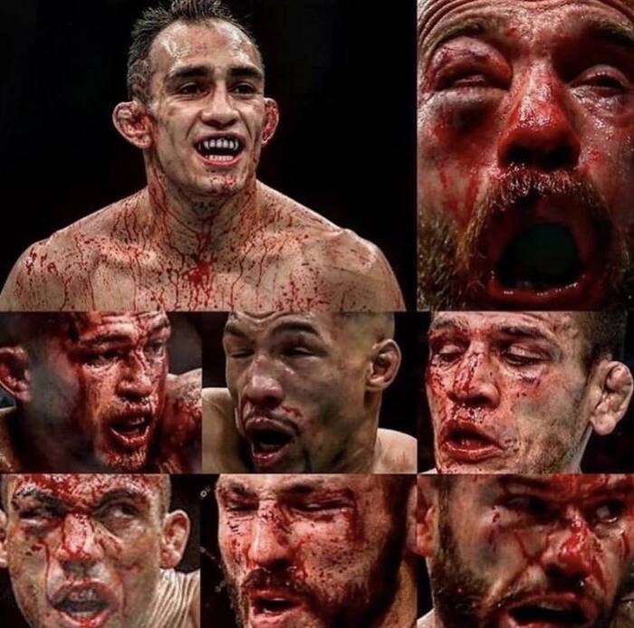  -    .         ? MMA, UFC,  MMA, Telegram ()