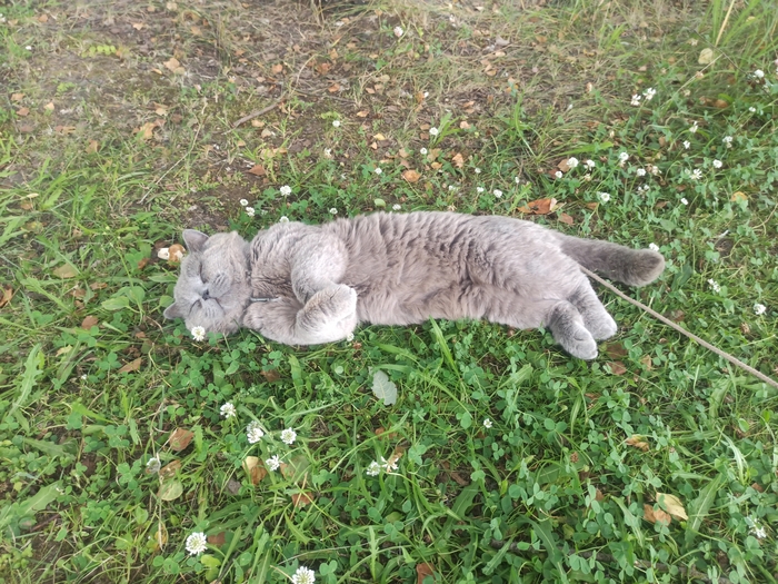 Наелся и спит