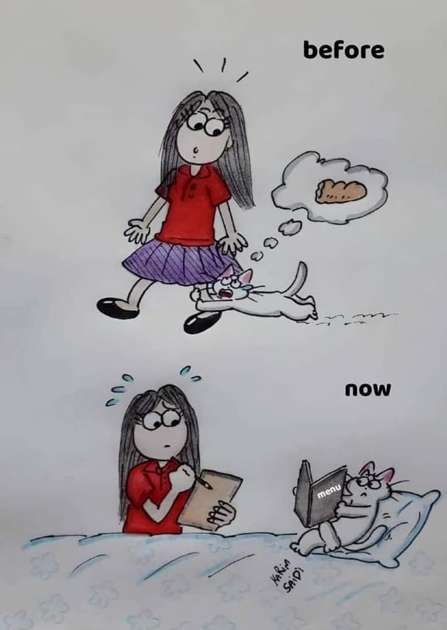    , 