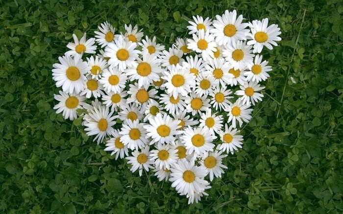 ���� �����, ����� � ��������