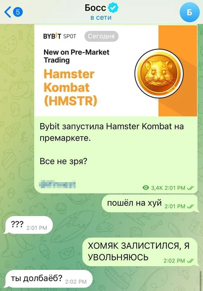 Стартовала новая перепись - Странный юмор, Скриншот, Юмор, Hamster Kombat