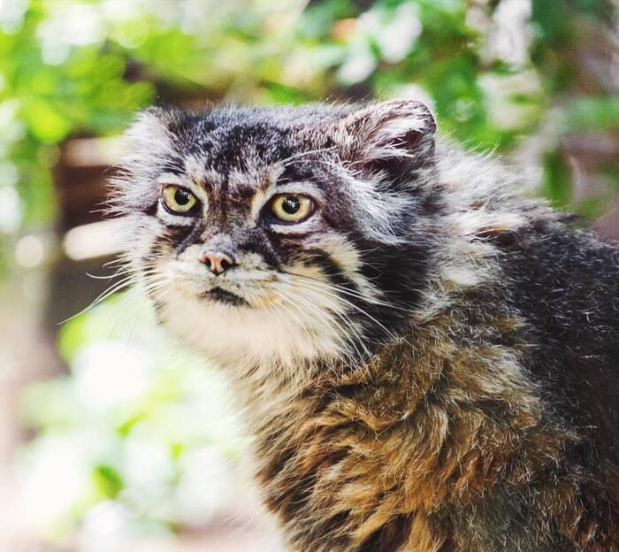 Что ж ты с пустыми руками-то?