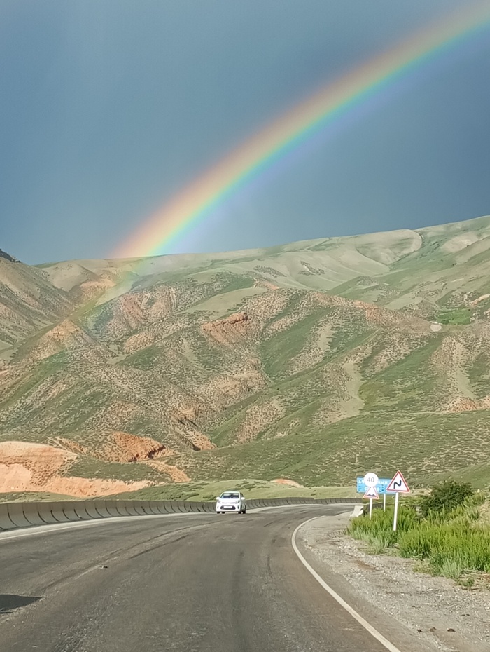   , Rainbow Dash