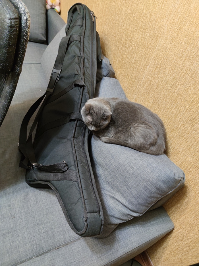 ������ �������� ���������� �� ��������:)