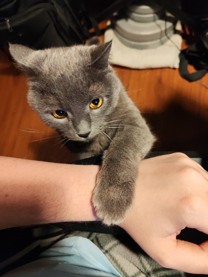 ����, ������ �� ���� ��������