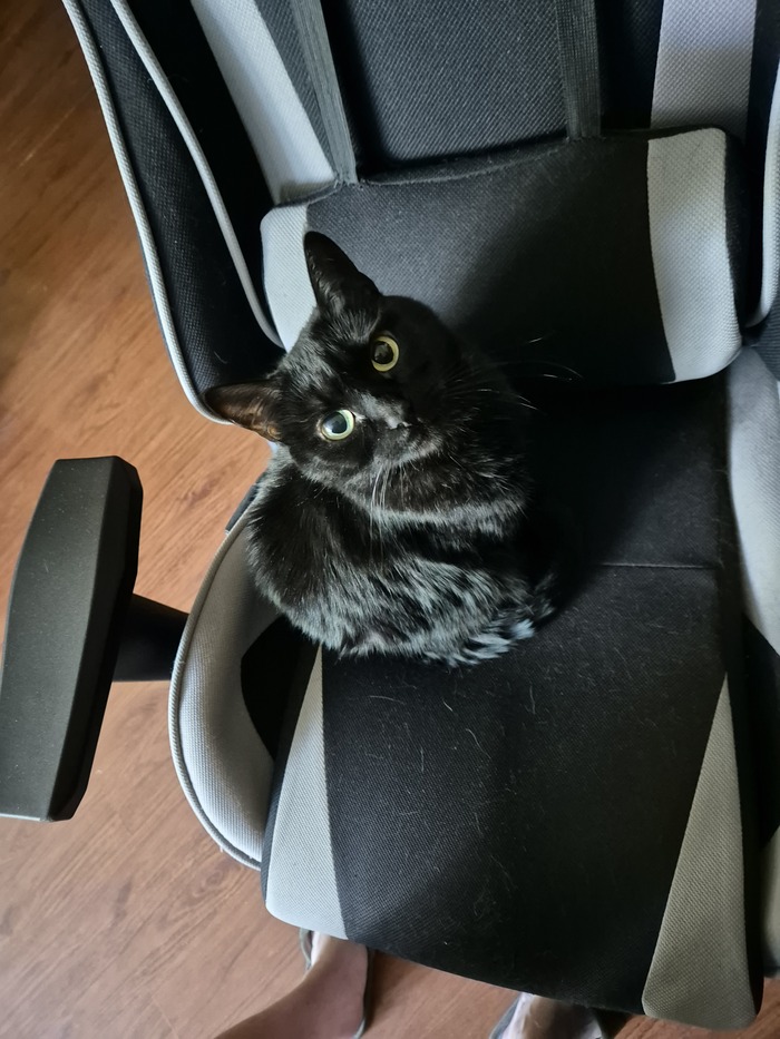 ��, � ������� � ���� �� ��� ������. � ��� �� ��� ��������? ���������? �� ��������� ����?..