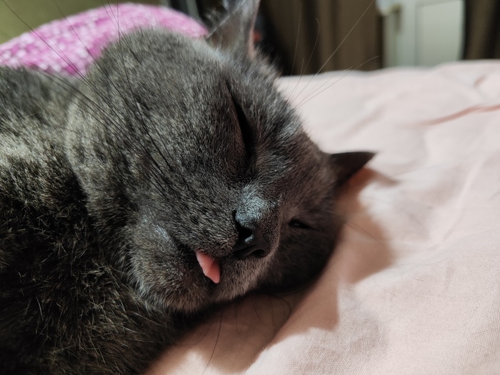 ��������� ������