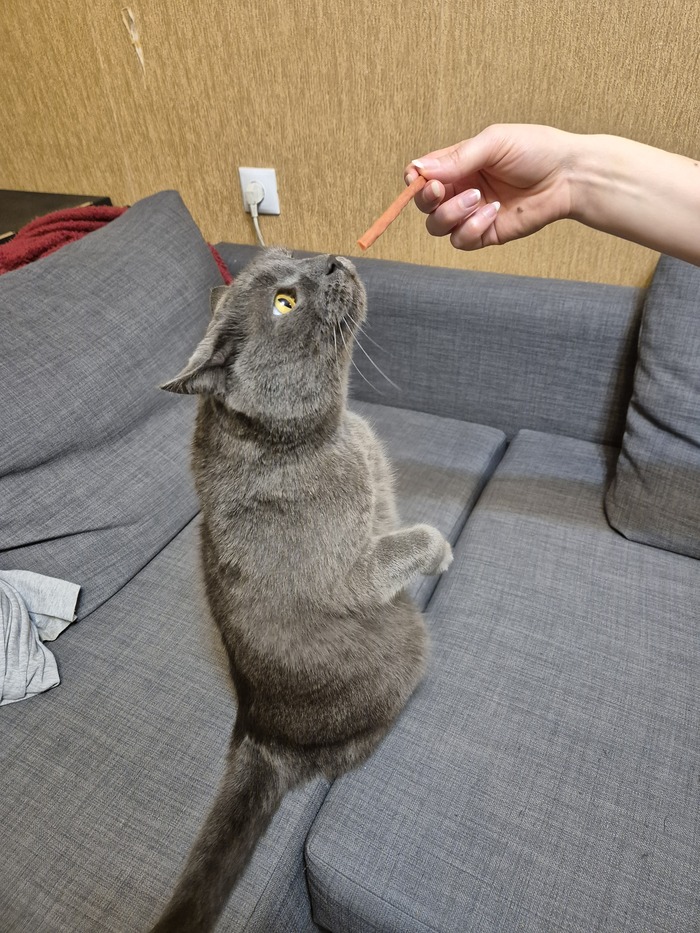 �� ������ �, ������, ������ ��� ������� ������� ���