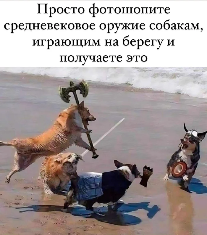 Epic battle - Humor, Picture with text, Memes, Photoshop, Weapon, Dog, Telegram (link)