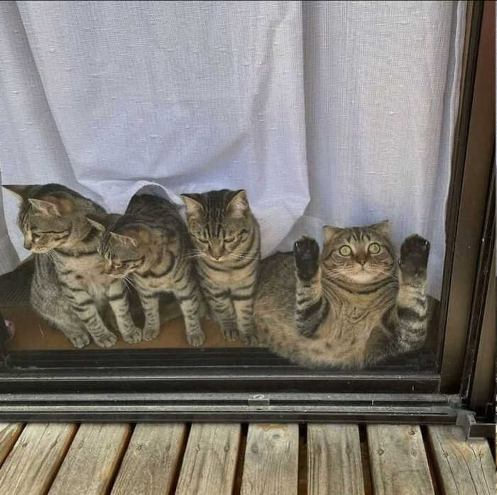 � ��� �� ������!