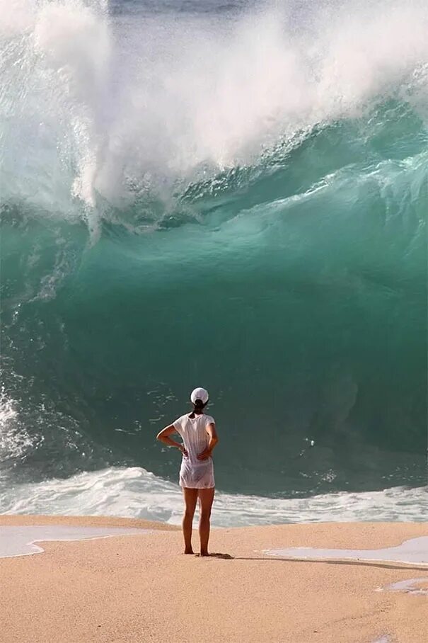 ������ � ����� ������� ��� ��������