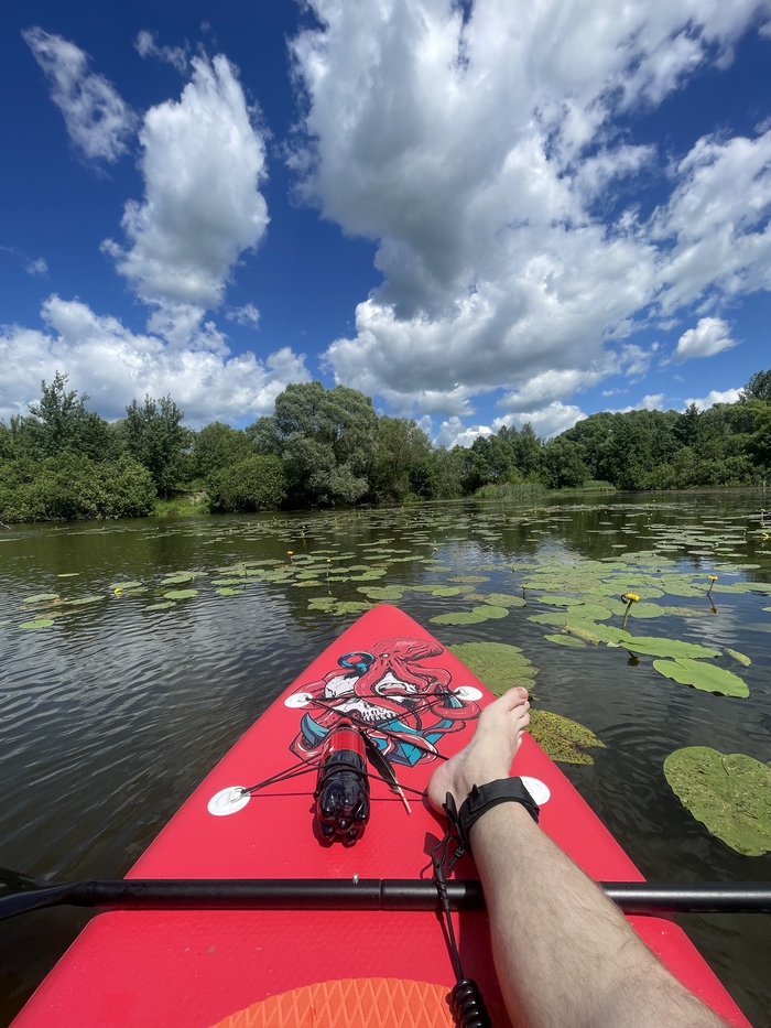 Сплавы на сапбордах