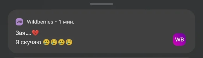 Хоть кто-то скучает - Моё, Wildberries, Уведомление, Одиночество, Маркетинг