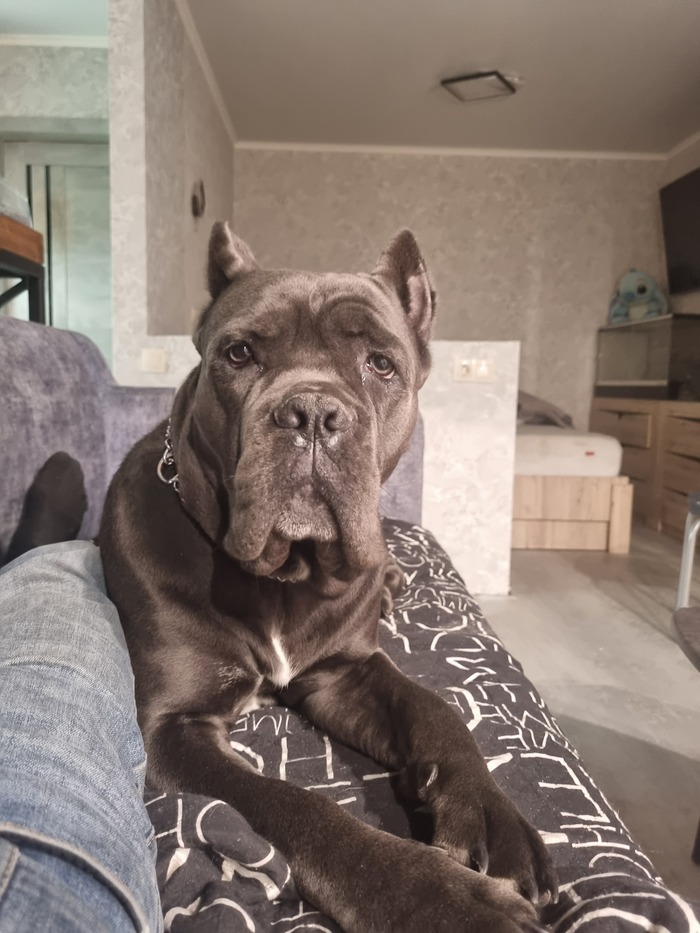     .    .       .     )))