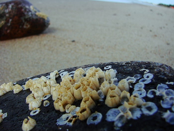 ��������� �� ������� ���������� ������� � ���� ������!