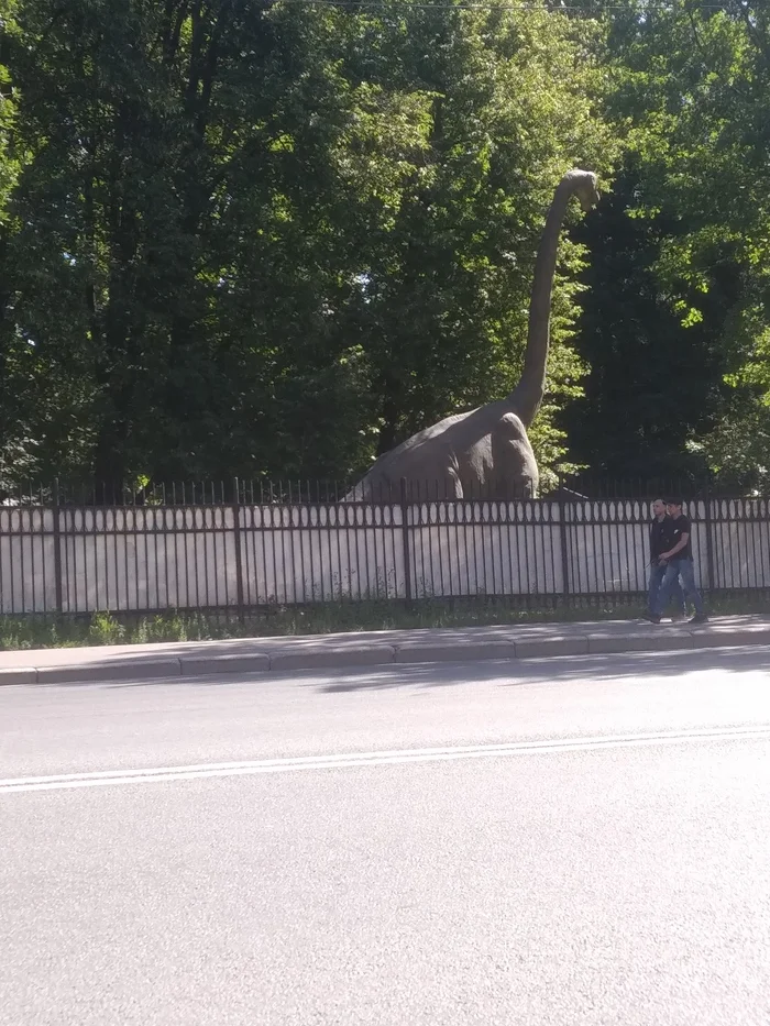 Парк Бабушкинского периода - Моё, Фото на тапок, Парк