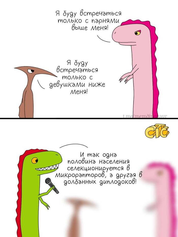 Выбор партнера