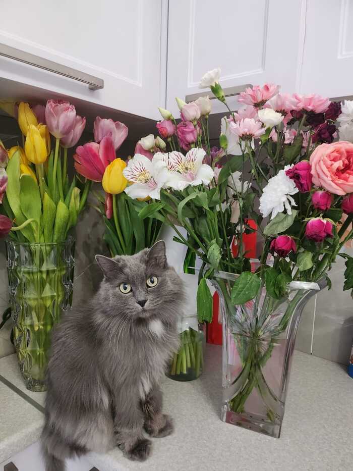   , , ,  , 