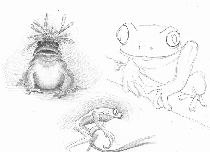 Sketches of the animal world from photos - My, Beginner artist, Sketch, Animals, Dog, Rabbit, hippopotamus, Giraffe, cat, Frogs, Crab, Ants, Longpost