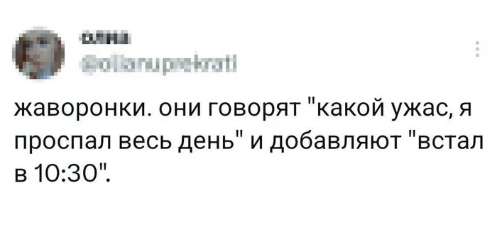 Жаворонки - Юмор, Twitter, Скриншот