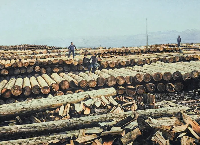 Как жил и выглядел Иркутск в начале XX века? 20 раскрашенных фотографий дореволюционного города Колоризация, Старое фото, Историческое фото, Фотография, Города России, Российская империя, Иркутск, 19 век, 20 век, История города, Длиннопост