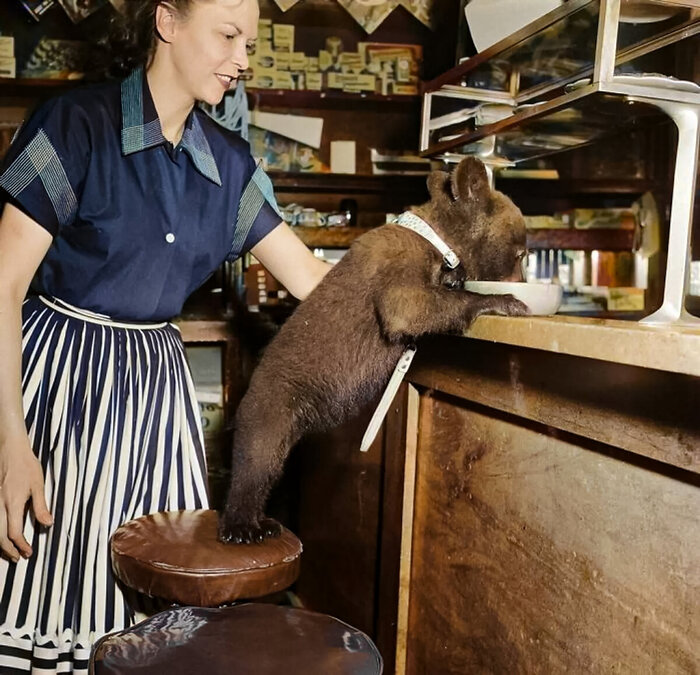 Удивительные и забавные ретро фотографии с животными. 20 раскрашенных фотографий из ХХ века. Часть II Колоризация, Старое фото, Фотография, Животные, 20 век, Длиннопост