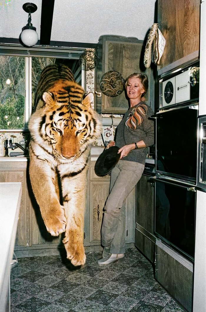 Удивительные и забавные ретро фотографии с животными. 20 раскрашенных фотографий из ХХ века. Часть II Колоризация, Старое фото, Фотография, Животные, 20 век, Длиннопост