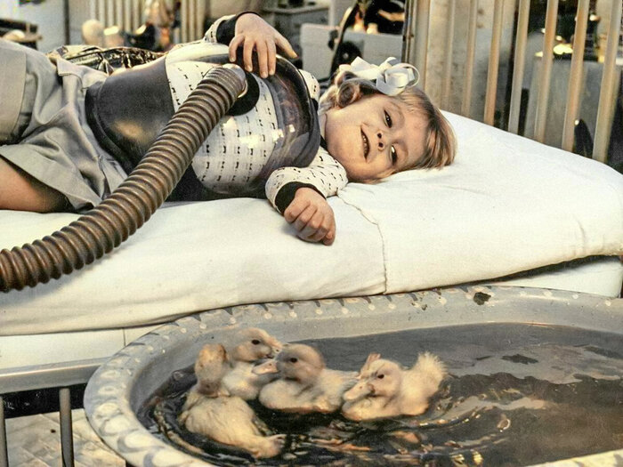 Удивительные и забавные ретро фотографии с животными. 20 раскрашенных фотографий из ХХ века. Часть II Колоризация, Старое фото, Фотография, Животные, 20 век, Длиннопост