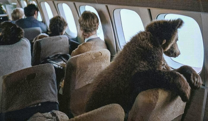 Удивительные и забавные ретро фотографии с животными. 20 раскрашенных фотографий из ХХ века. Часть II Колоризация, Старое фото, Фотография, Животные, 20 век, Длиннопост