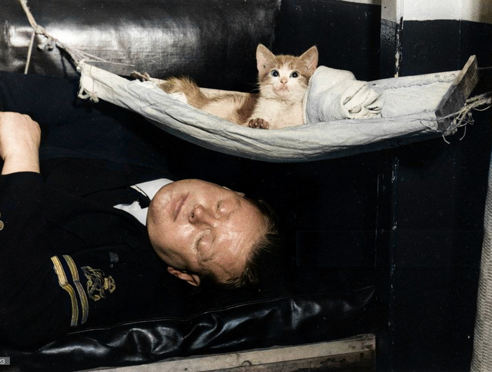 Подборка фотографий из прошлого, которые заставляют удивиться. 20 раскрашенных фотографий из XIX-ХХ века. Часть V Фотография, Старое фото, Историческое фото, Колоризация, 19 век, 20 век, Длиннопост