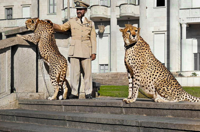 Подборка фотографий из прошлого, которые заставляют удивиться. 20 раскрашенных фотографий из XIX-ХХ века. Часть V Фотография, Старое фото, Историческое фото, Колоризация, 19 век, 20 век, Длиннопост