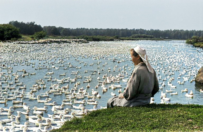 Подборка простых и потрясающих фотографий эпохи СССР. 20 раскрашенных фотографий, Часть VI Старое фото, Историческое фото, Фотография, Колоризация, СССР, Детство в СССР, Сделано в СССР, 60-е, 70-е, 80-е, Длиннопост