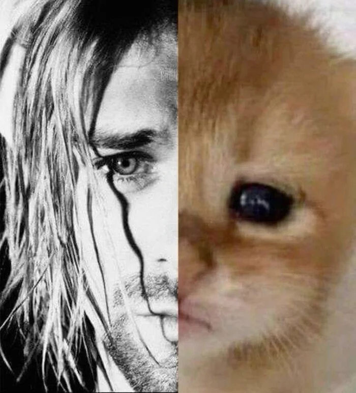 Kurt Cobain - Kurt Cobain, Kurt, Grunge, Rock, Music, Legend, cat