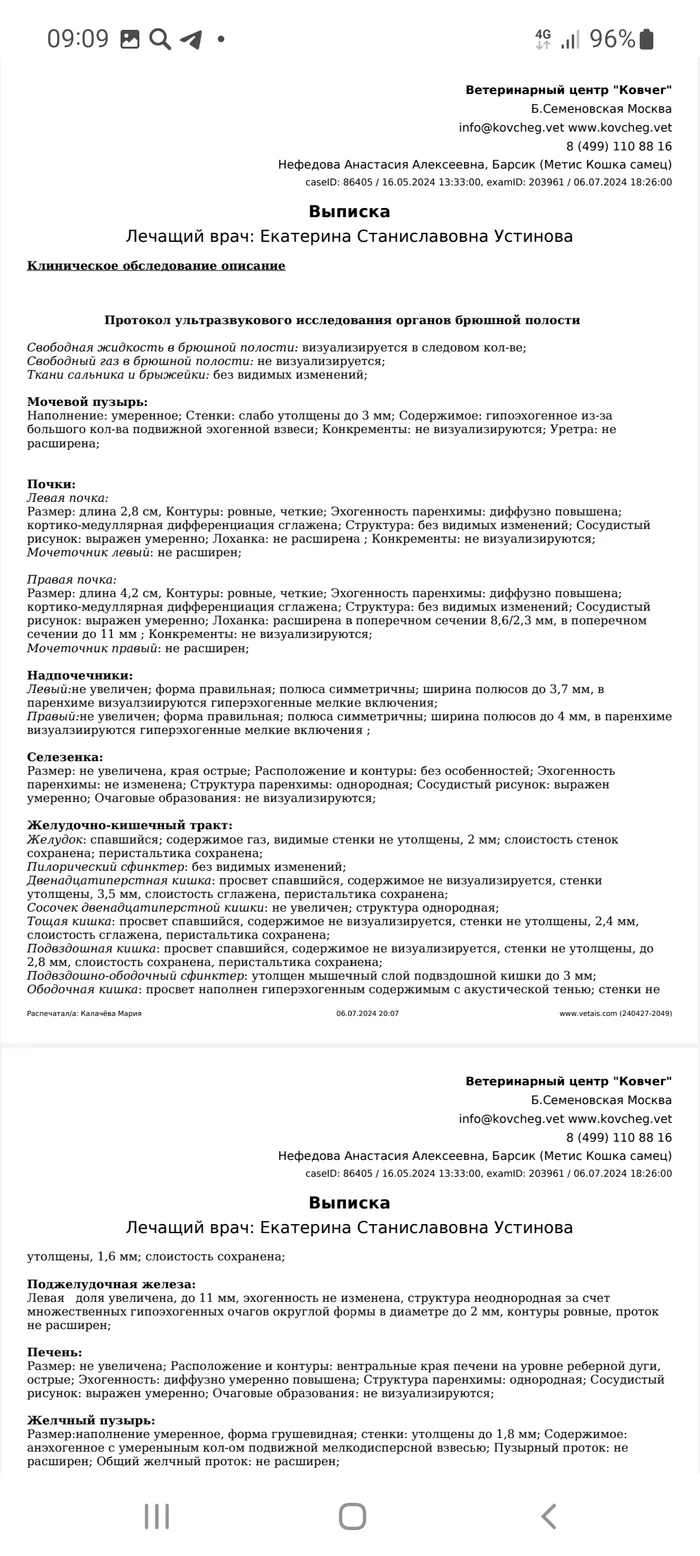 Один очень проблемный котик Дед Барсикович с недавних пор живёт в Котэриуме. Ищу добрые сердца для того, чтобы ему помочь - Моё, Кот, Помощь животным, Сила Пикабу, Доброта, Без рейтинга, Видео, YouTube, Вертикальное видео, Длиннопост